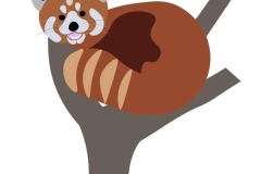 Red-Panda-in-a-Tree-2-copy